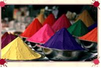 Holi Colors