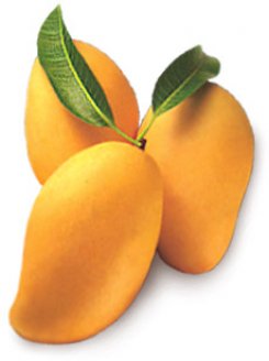 Mango3.jpg