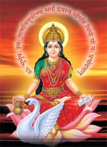gayatri.jpg gayatri.jpg