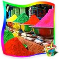 Holi 2012